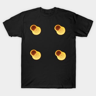 PROTOZOANS sticker set plus T-Shirt